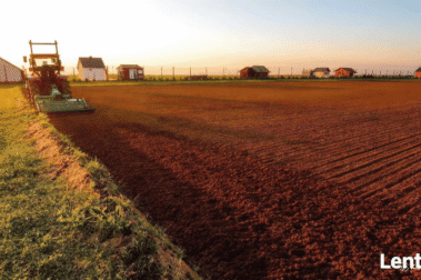 Profesjonalne prace ogrodnicze związane z przygotowaniem trawnika.