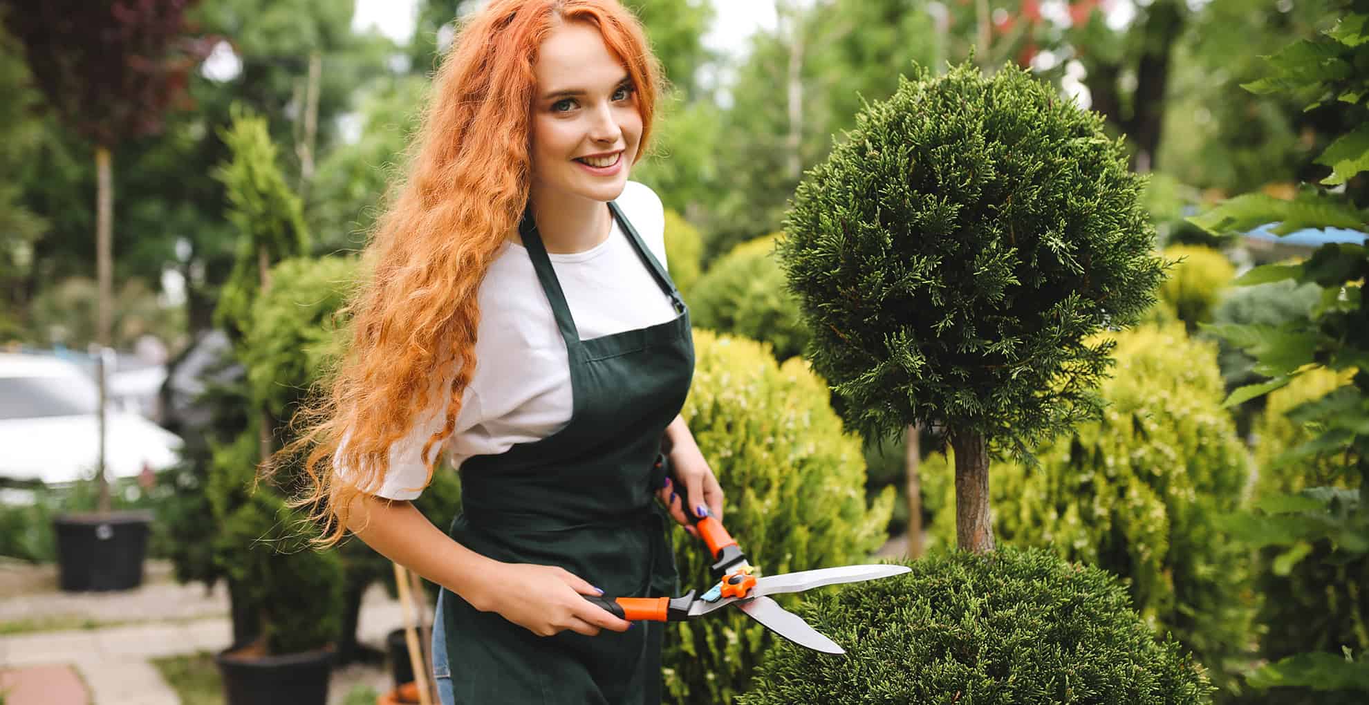 Pielegnacjaterenowzielonych1