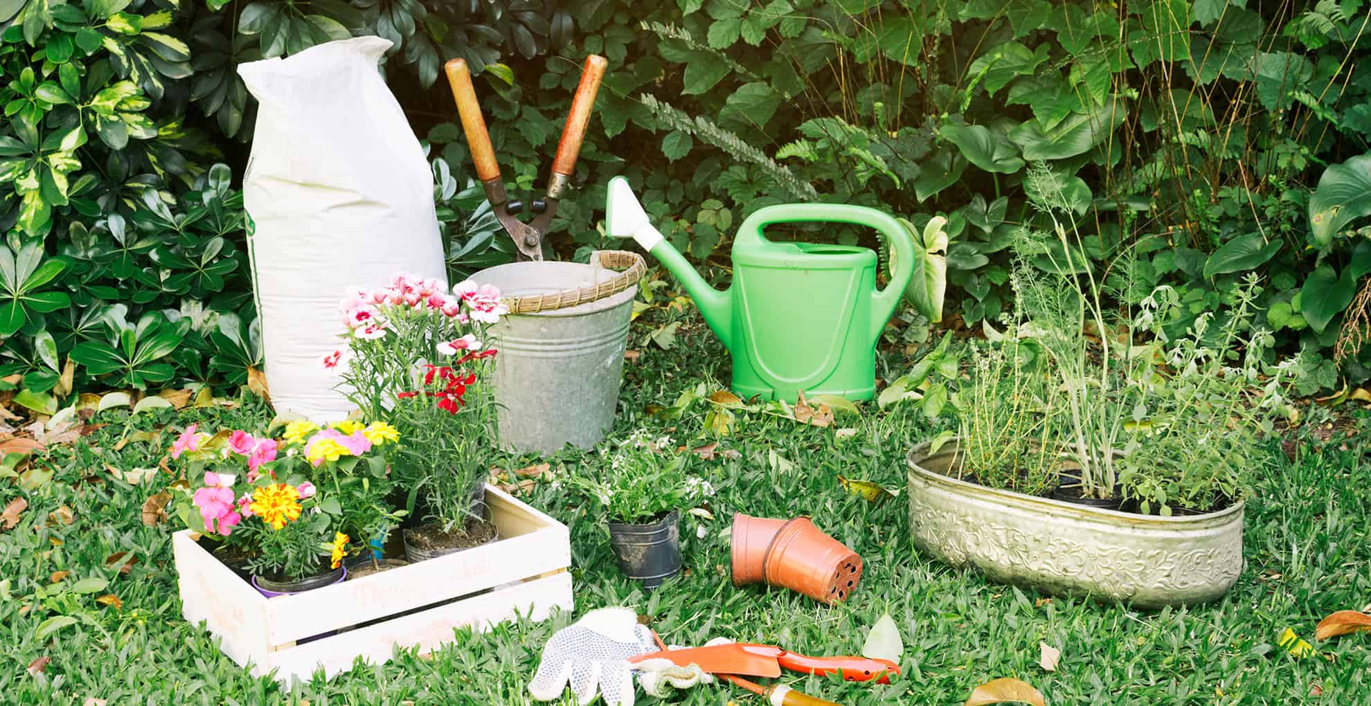 Projektowanieogrodow1