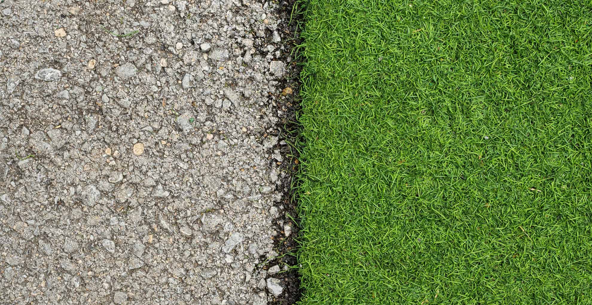 Zakladanietrawnikow1