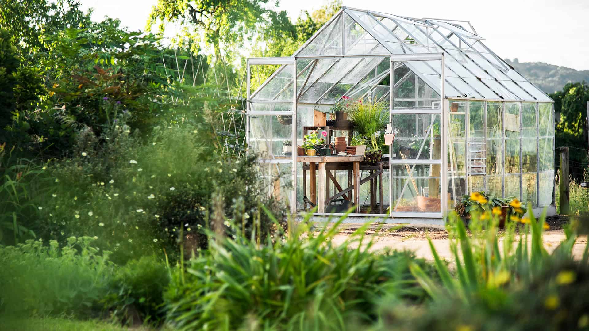 Letnie Inspiracje Ogrodowe