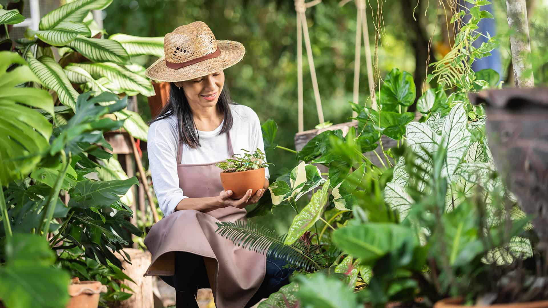 Wiosenne Porzadki Krok Po Kroku
