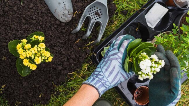 Wiosenne Porzadki Ogrodowe